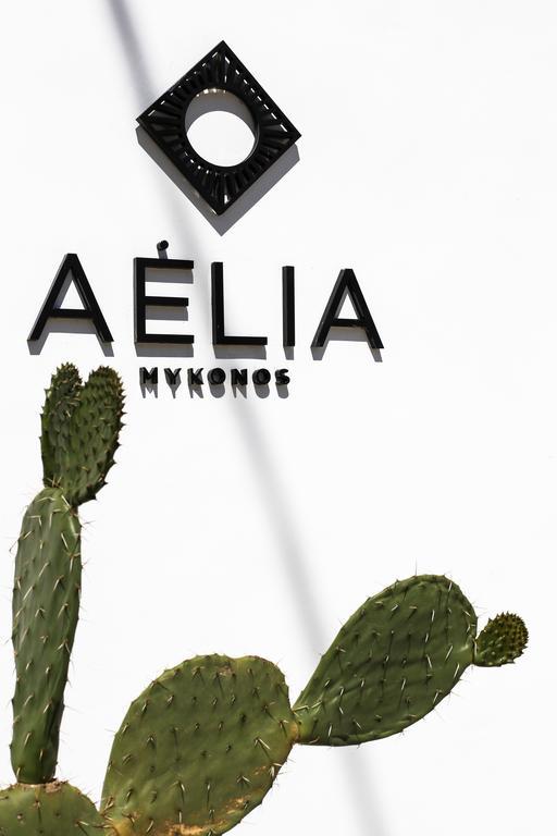 Aelia Mykonos Hotel Ornos  Bagian luar foto