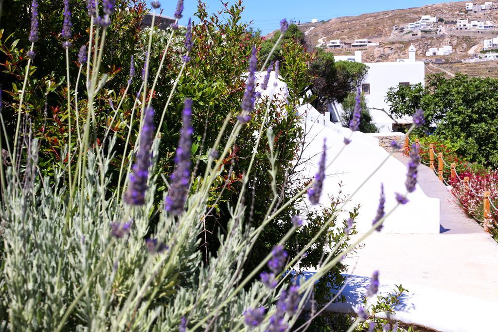 Aelia Mykonos Hotel Ornos  Bagian luar foto